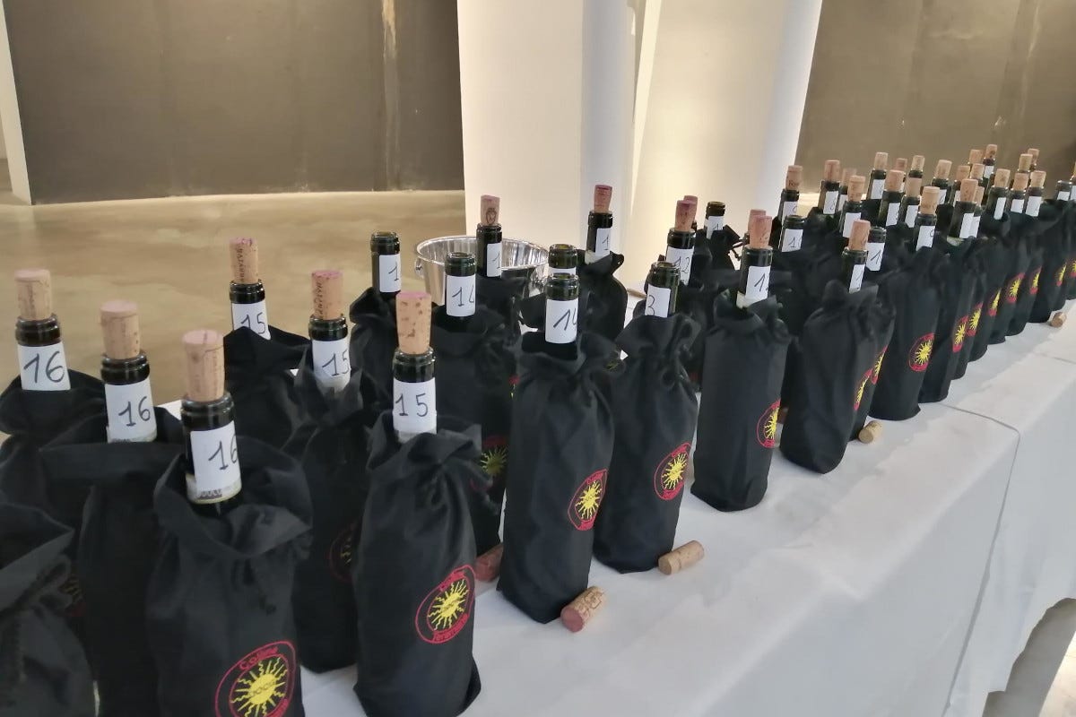 Il vino Docg Colline Teramane guarda al futuro e cresce nella produzione
