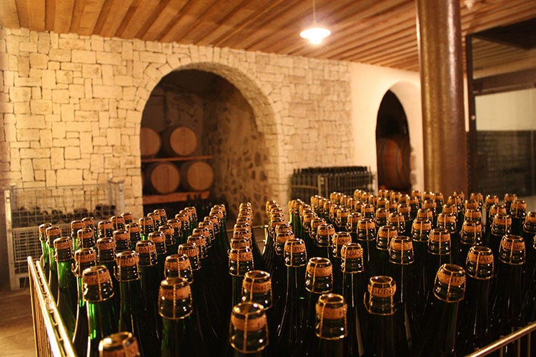 Alto Adige Wine Summit Per i primi 10 anni del Consorzio