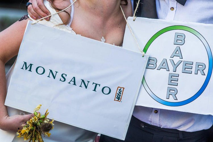 Bayer-Monsanto, richiesta fusione all'Ue Un'acquisizione da 66 miliardi di dollari