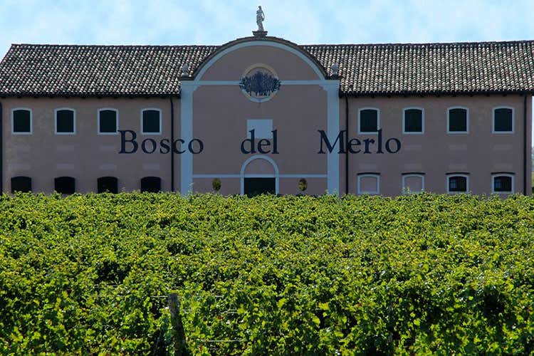 (Bosco del Merlo Vineargenti Riserva Una bella prova di Viticoltura ragionata) (Bosco del Merlo Vineargenti Riserva Una bella prova di Viticoltura ragionata)