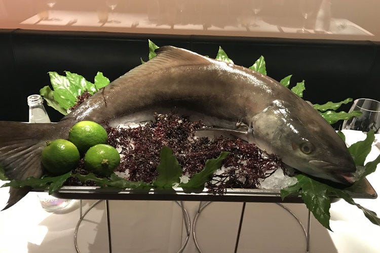 (Sostenibile, accessibile, salutare, gustoso Dai Caraibi il pesce superfood Cobia)