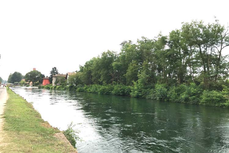 Dna controllato e mappa di produzione Il Distretto Riso e Rane li mette in etichetta Dna controllato e mappa di produzione Il Distretto Riso e Rane li mette in etichetta