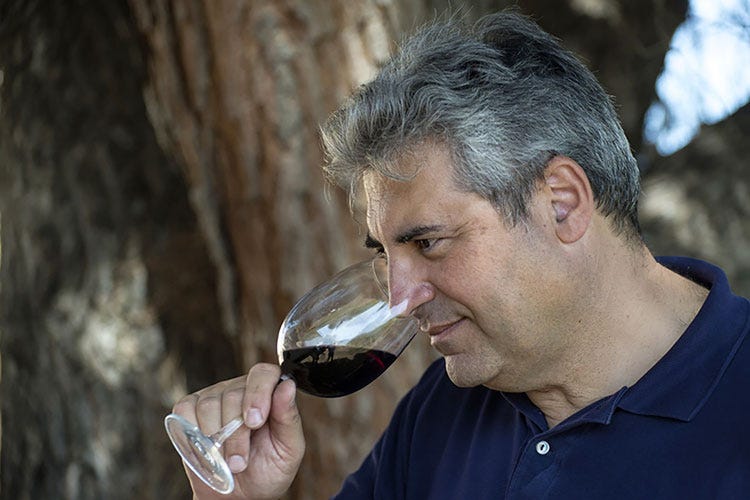 Massimo Maggio (Doc Sicilia e Cerasuolo di Vittoria Un'aggregazione nel mondo del vino)