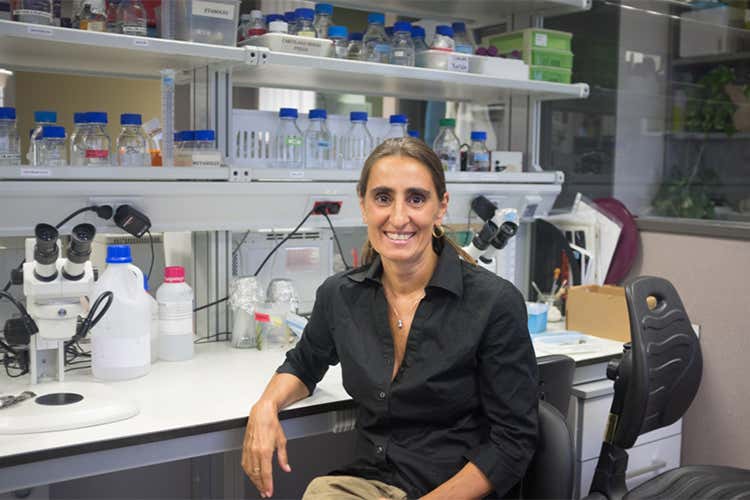 Premio Casato Prime Donne 2017 alla biologa Federica Bertocchini Premio Casato Prime Donne 2017 alla biologa Federica Bertocchini