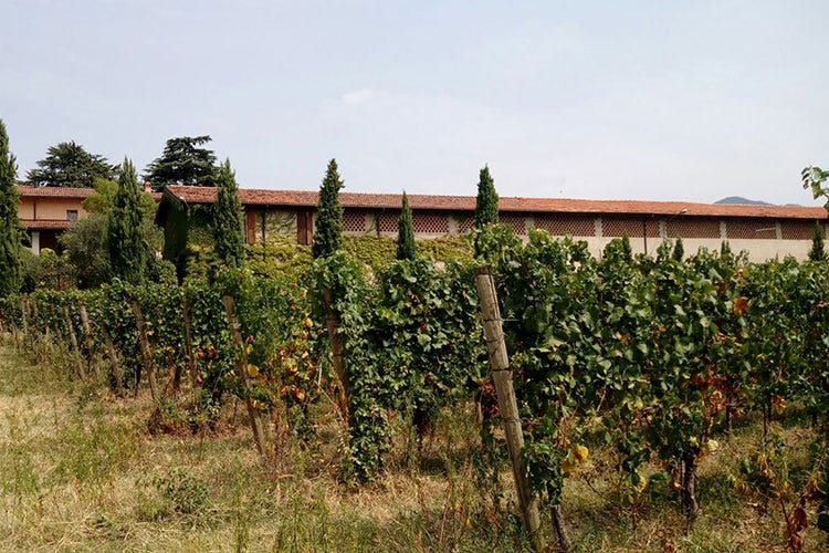 Franciacorta, un fitto calendario di eventi per promuovere vino e territorio