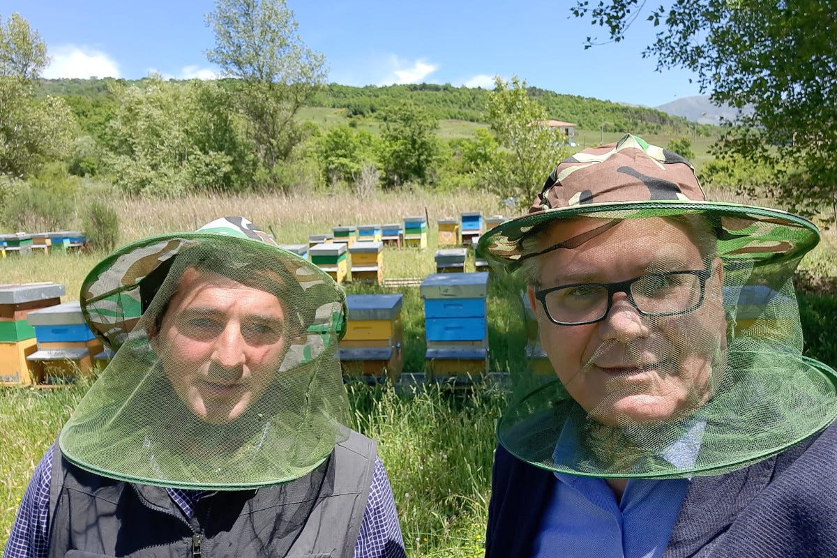 Gerardo De Cillis e Vincenzo Peretti Dalla California in arrivo il miele sintetico?
