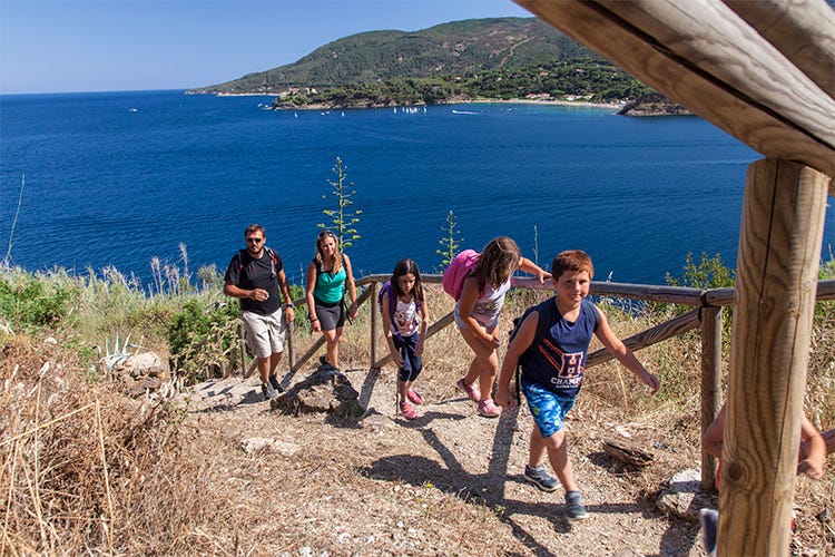 L'Isola d'Elba, un territorio da riscoprire Dal turismo a cinema, cultura e cucina