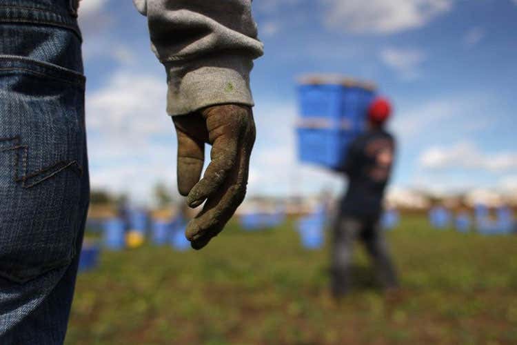 (Caporalato, a un anno dalla legge Martina soddisfatto, ma il lavoro continua) (Caporalato, a un anno dalla legge Martina soddisfatto, ma il lavoro continua)