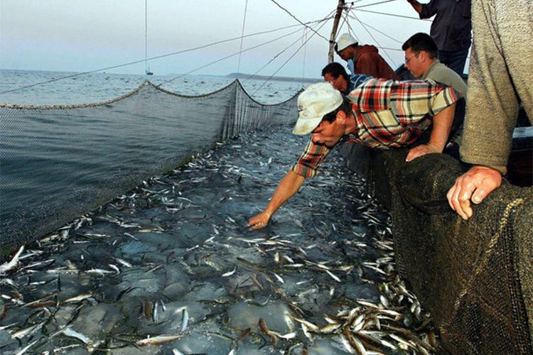 Maltempo, danni anche al settore pesca  Perdite fino al 70% e detriti nei porti