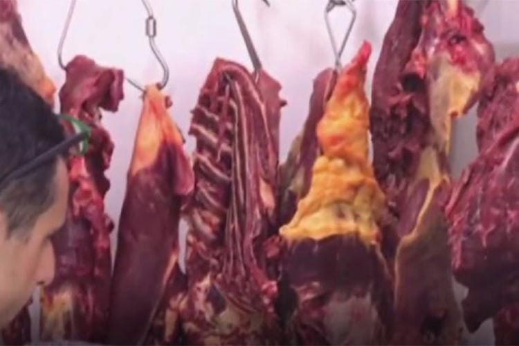 Mattatoio clandestino nel Siracusano  Sequestrate 5 tonnellate di carne equina