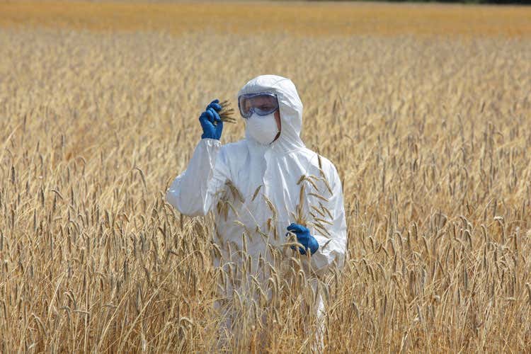 Ogm, Corte Ue limita i poteri dei Paesi Stop solo se rischi certi per la salute Ogm, Corte Ue limita i poteri dei Paesi Stop solo se rischi certi per la salute