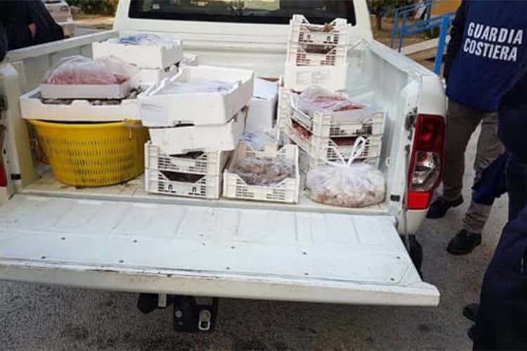 Pesce, 850 chilogrammi sotto sequestro Sanzioni per 23mila euro nell'Agrigentino