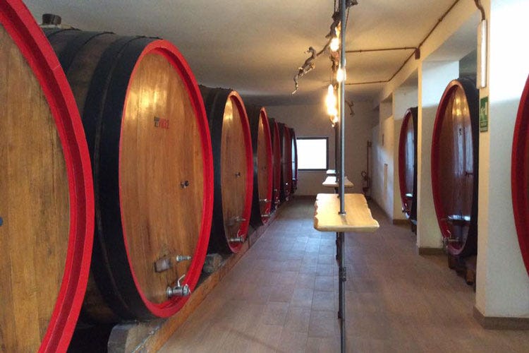 Primitivo di Gioia del Colle Col Manduria il meglio del vino pugliese