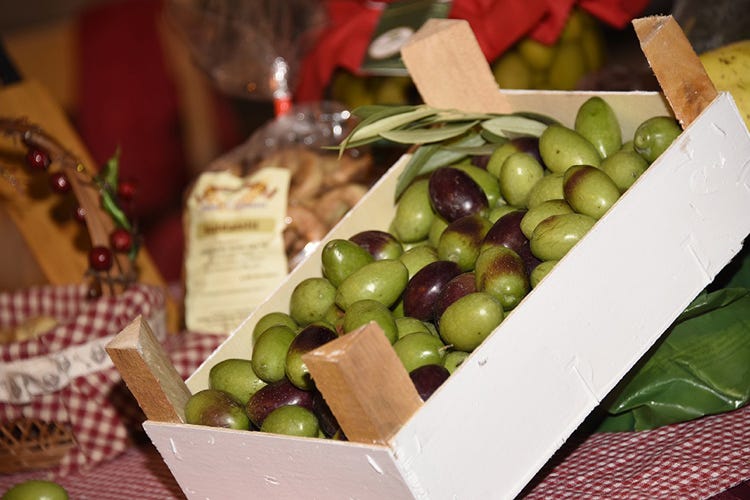 (Ritrovare la mediterraneità nell’ulivo Successo per il Festival dell’oliva da tavola)