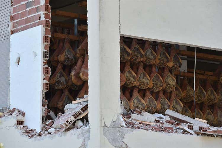 Terremoto aziende agricole e posti di lavoro a rischio Terremoto aziende agricole e posti di lavoro a rischio