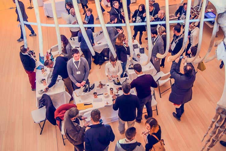 (Trentodoc, Bollicine sulla città 48 case spumantistiche in degustazione) (Trentodoc, Bollicine sulla città 48 case spumantistiche in degustazione)