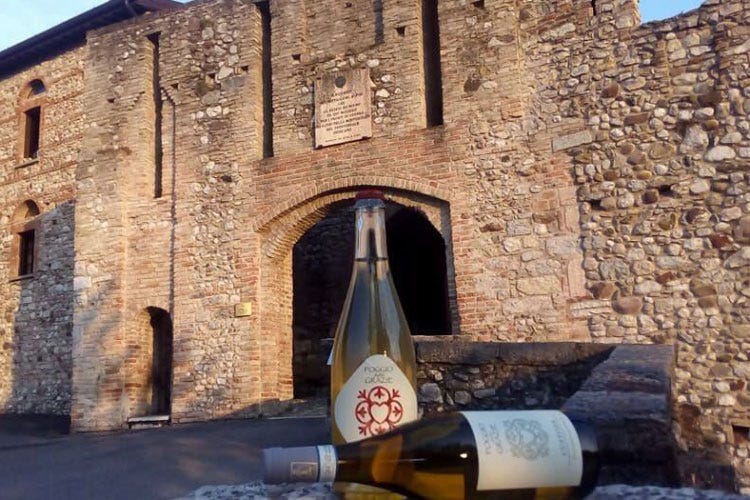 (Vignaioli Fivi al castello di Desenzano Due giorni a tu per tu con 45 produttori)