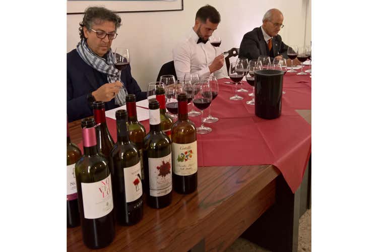 (Vino Novello del Meridione Premiata la Cantina Statti) (Vino Novello del Meridione Premiata la Cantina Statti)