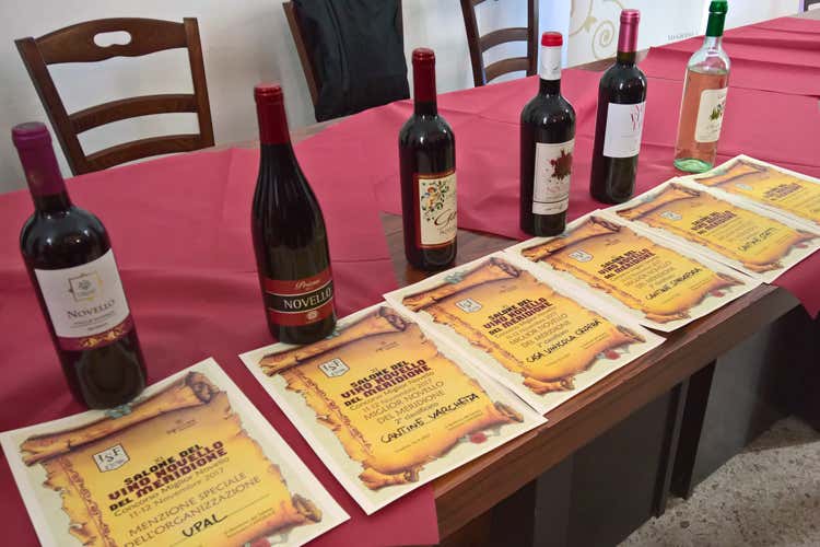 (Vino Novello del Meridione Premiata la Cantina Statti) (Vino Novello del Meridione Premiata la Cantina Statti)