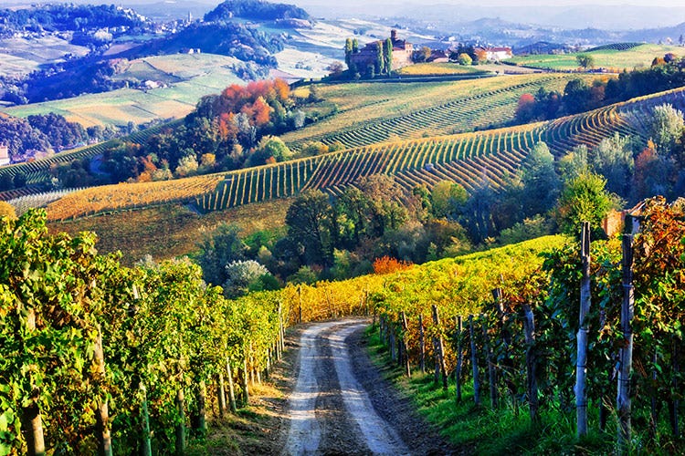 Il vino toscano pronto a richiamare gli enoturisti nel 2021 - La Toscana fa da apripista al rilancio dell'enoturismo