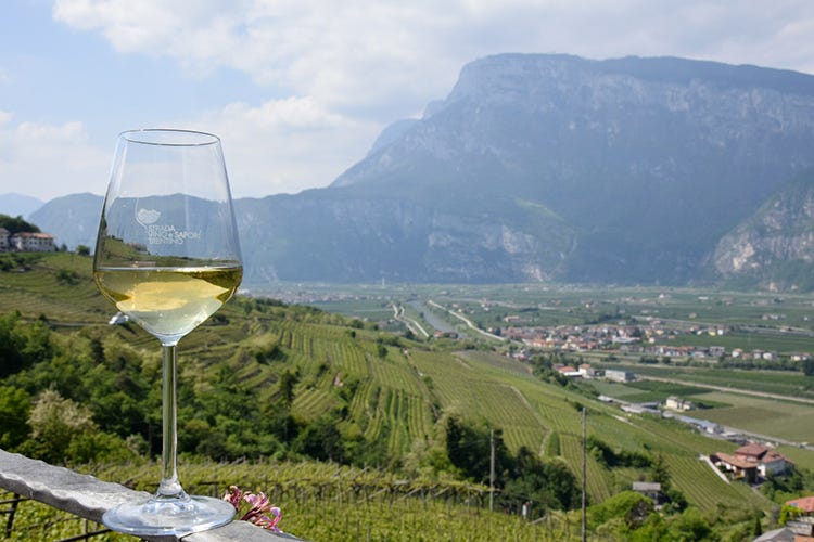 Un bicchiere di Nosiola e sullo sfondo una valle di vigne Aspettando la primavera sul Garda Trentino tra spettacolari fioriture