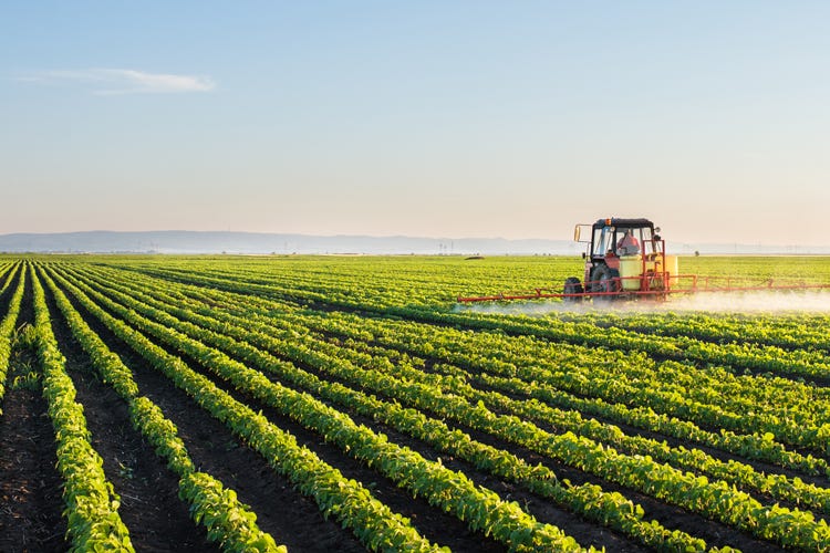 L’agricoltura italiana primeggia in Ue È la più green con 60mila aziende bio