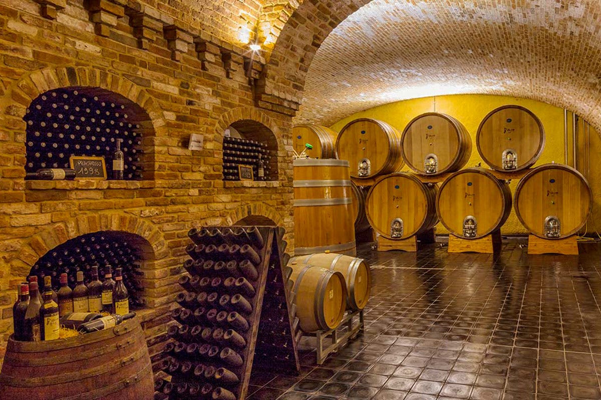 Angelo Negro dal 1670 produce vini di Langa e Roero solo da vitigni autoctoni 