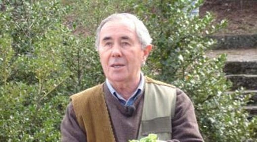 Augusto Tocci