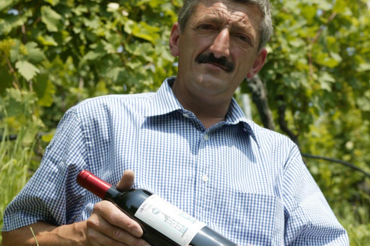 Augusto Zadra Non solo mele: la viticoltura eroica della Val di Non