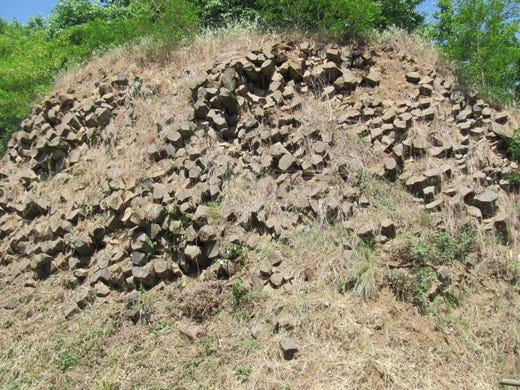 Il basalto colonnaro tipico del terreno di Gambellara