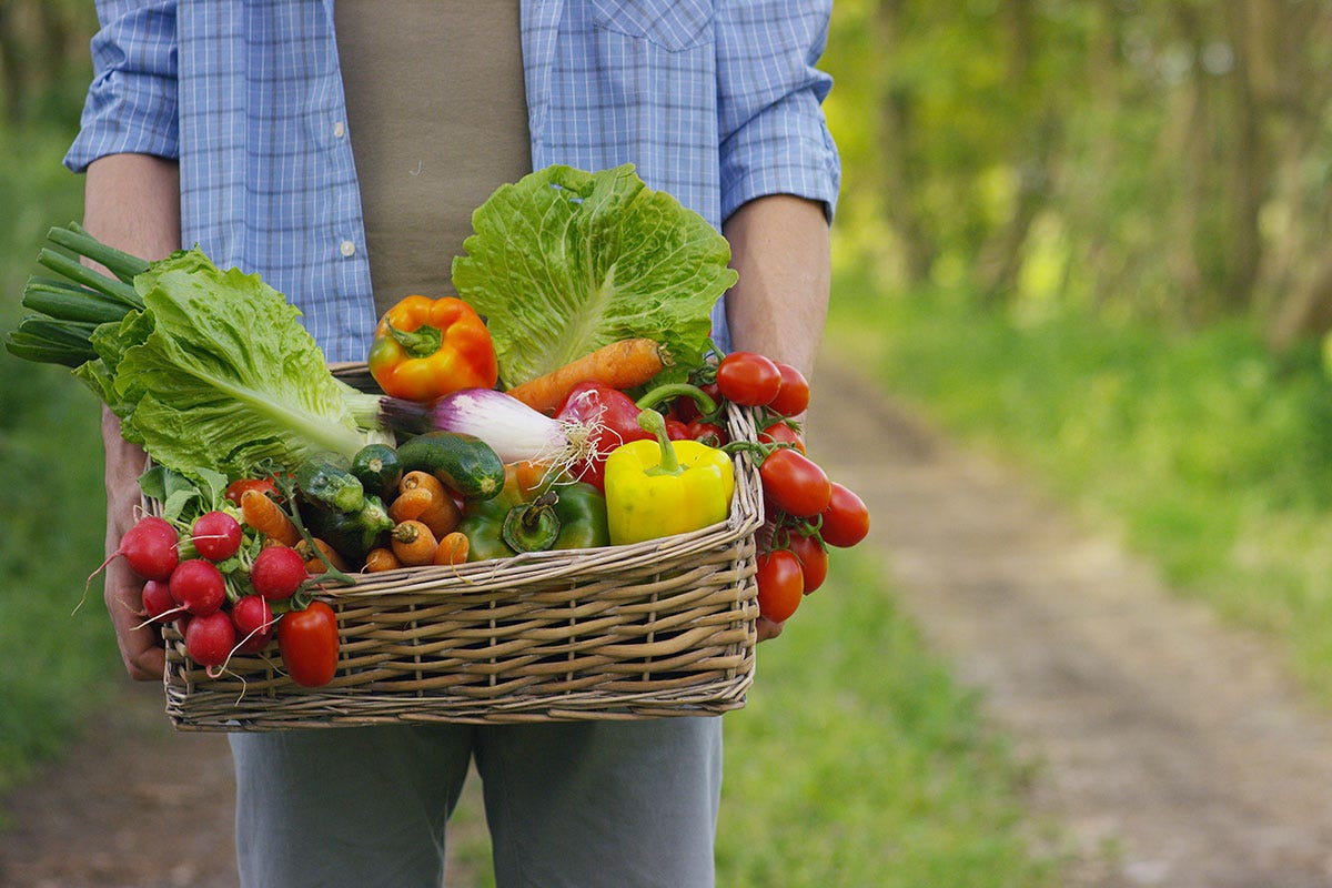 Il 25% della produzione agroalimentare è composto da frutta e verdura La verdura in busta non piace più Gli italiani la vogliono dall'agricoltore
