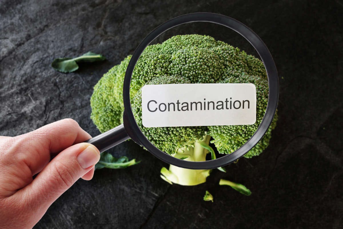 Contaminazioni chimiche al ristorante: tipologie e prevenzione
