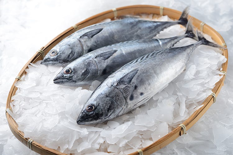 Corretta conservazione del pesce  cruciale per prevenire il mal di sushi