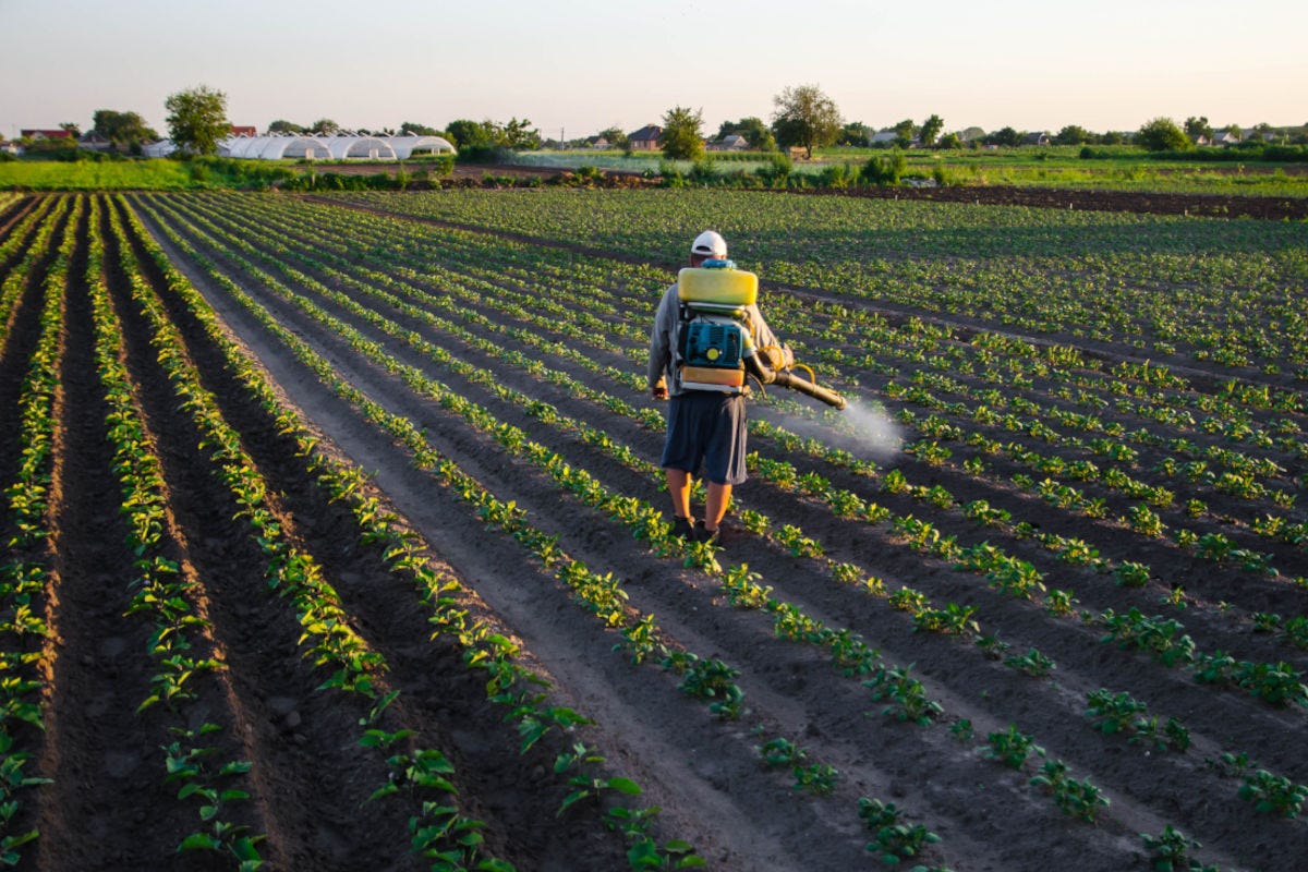 Agricoltura, fitofarmaci: “Impossibile ridurre l'utilizzo del 62%”