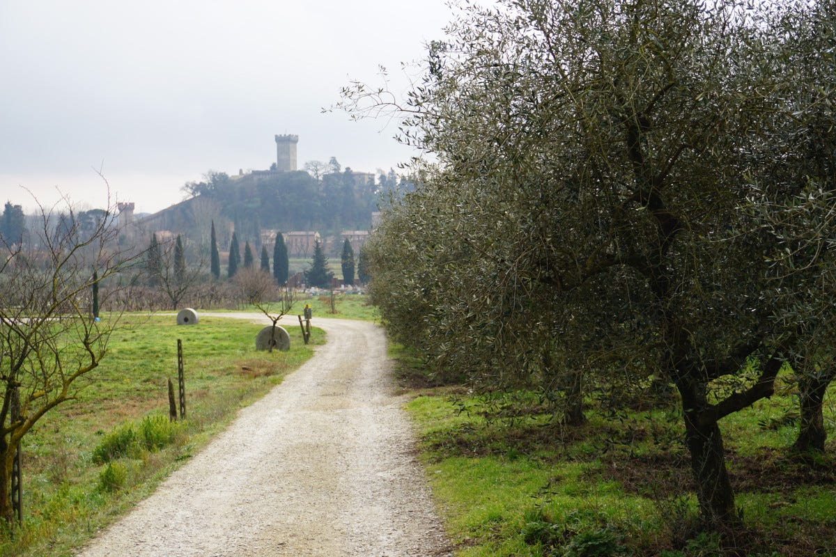 La vista del borgo dal Frantoio Al Frantoio di Vicopisano per scoprire l'olio delle Terre di Pisa