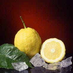 limone-sorrento-246.jpg
