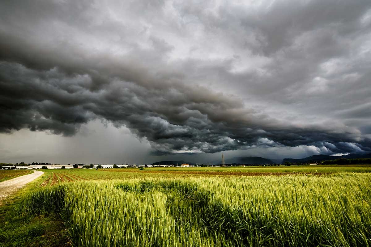 Il maltempo preoccupa l'agricoltura: piogge attese, ma rischio danni