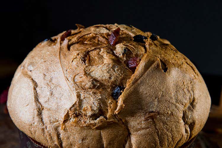 (La nuova focaccia di Claudio Gatti Zuccheri naturali e prodotti bio) (La nuova focaccia di Claudio Gatti Zuccheri naturali e prodotti bio)