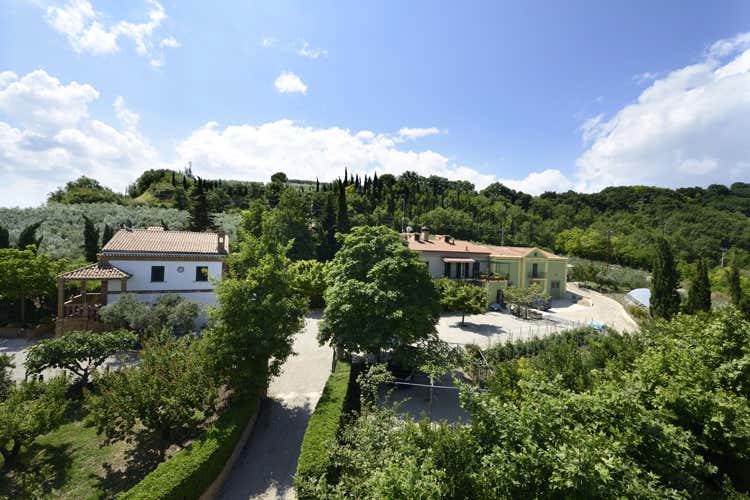 (L’olio biologico dell’azienda Persiani La differenza è nel lavoro tra i campi) (L’olio biologico dell’azienda Persiani La differenza è nel lavoro tra i campi)