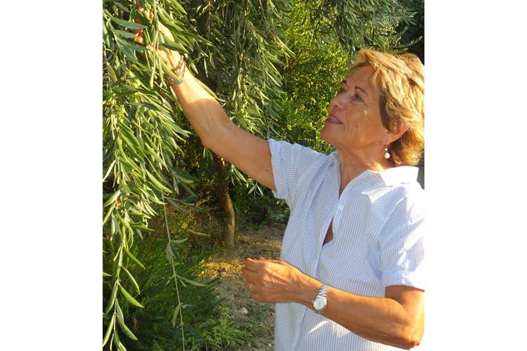 Helvia Persiani (L’olio biologico dell’azienda Persiani La differenza è nel lavoro tra i campi) Helvia Persiani (L’olio biologico dell’azienda Persiani La differenza è nel lavoro tra i campi)