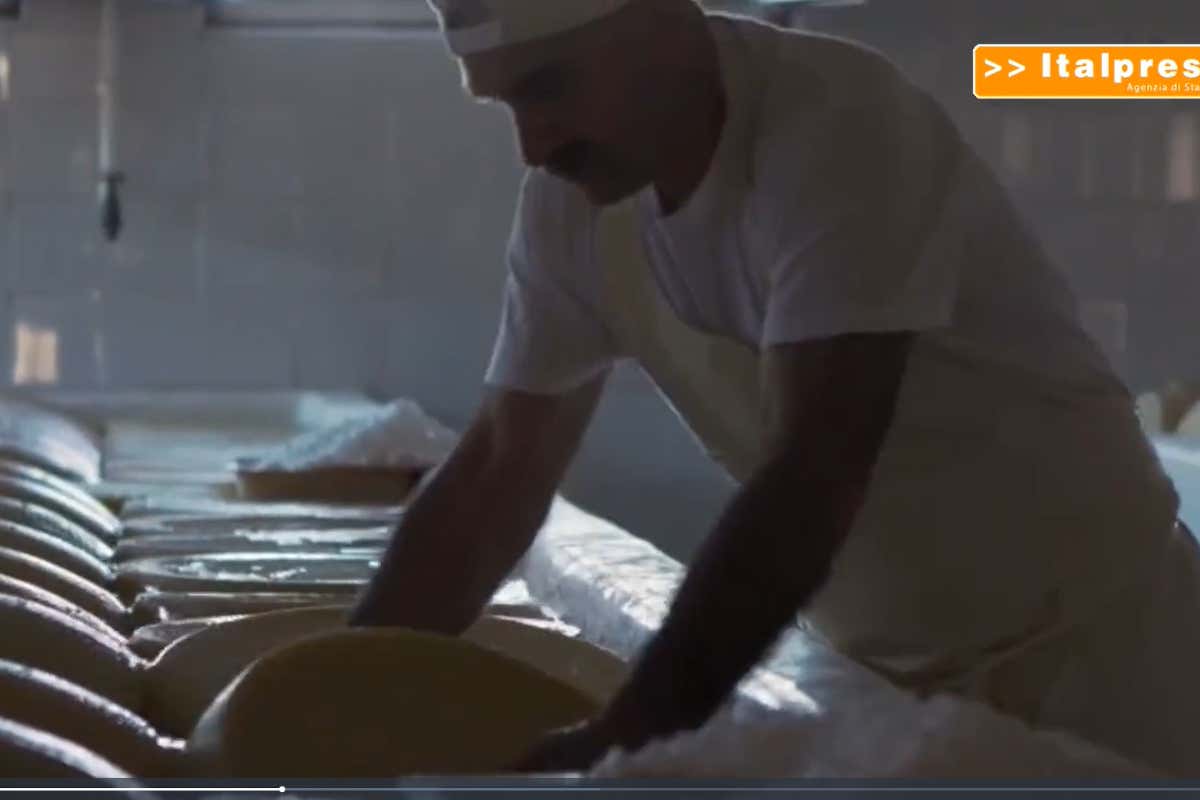 Parmigiano reggiano: i consumatori premiano il 40 mesi Parmigiano reggiano: i consumatori premiano il 40 mesi