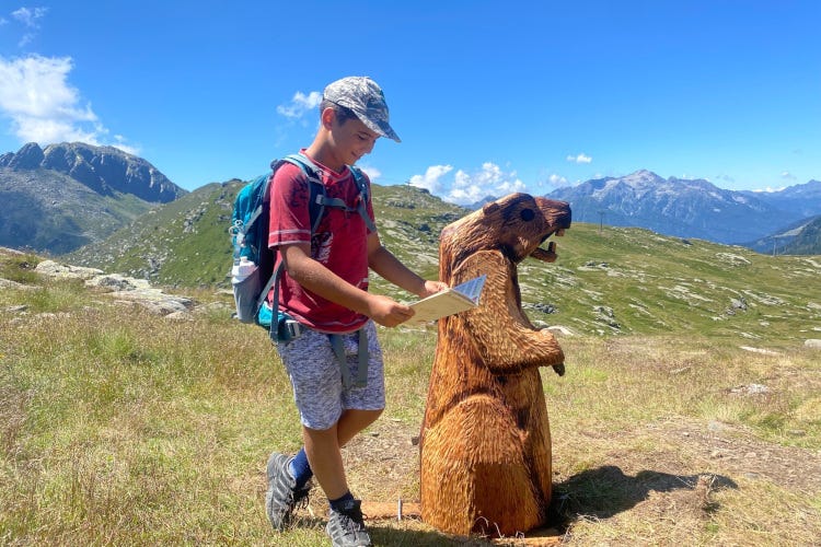   il Sentiero delle Marmotte ph Trentino dei Bambini Alla ricerca della Pietra del Tempo, nuova avventura per famiglie all'Alpe Tognola