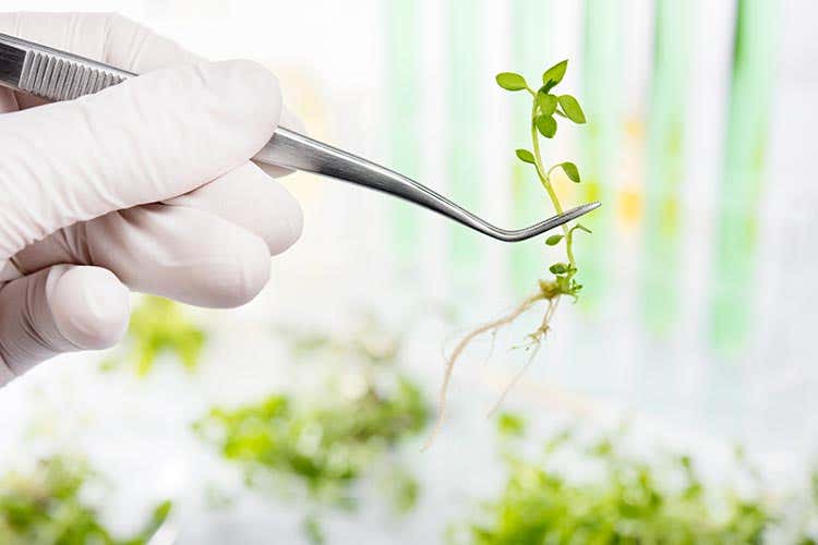 (Il primo Food Hackathon a Siena Oltre 240 studenti da tutta Italia) (Il primo Food Hackathon a Siena Oltre 240 studenti da tutta Italia)