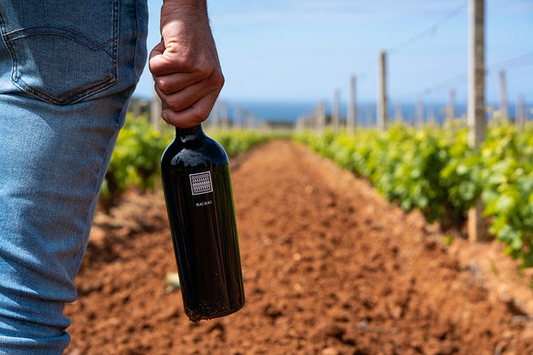 Santa Margherita punta sul mercato italiano - Santa Margherita gruppo vinicolo: Ancora più forti sul mercato italiano