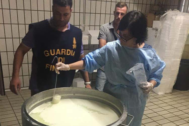 Sigilli della Finanza a 3 caseifici campani  Falsa Mozzarella di bufala Dop