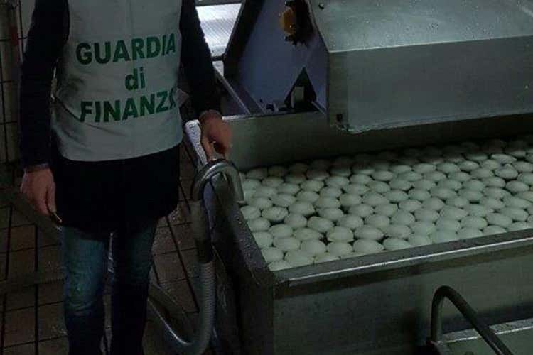 Sigilli della Finanza a 3 caseifici campani  Falsa Mozzarella di bufala Dop