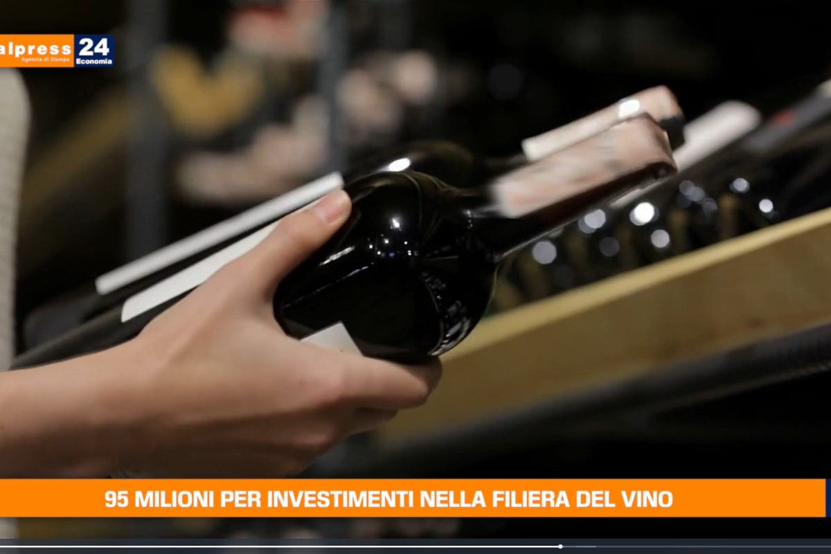 [TG Economia]: 95 milioni per investimenti nella filiera del vino