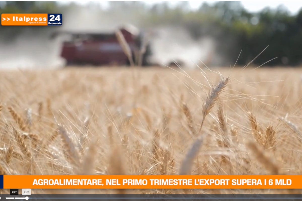 [TG Economia]: Agroalimentare, nel primo trimestre l'export supera i 6 miliardi