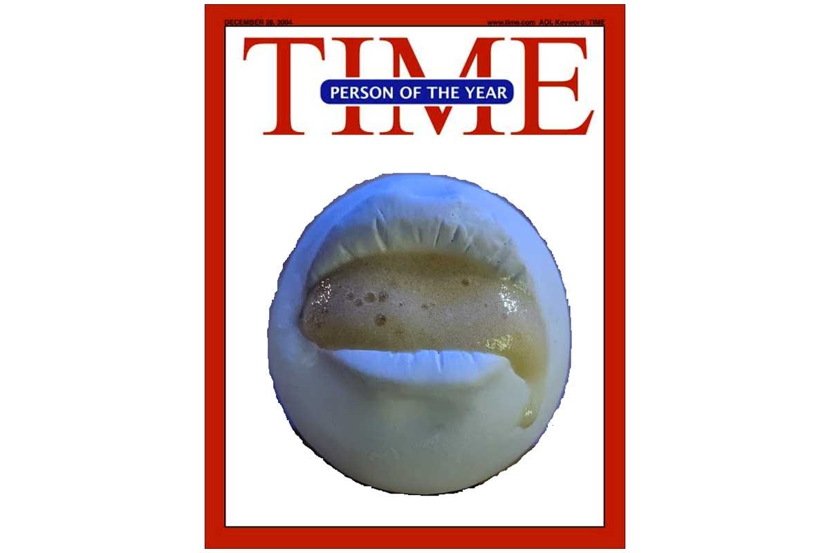 L'ironica copertina del Time circolata su Twitter La stroncatura americana del Bros' di Lecce? Insegna a non pendersi troppo sul serio
