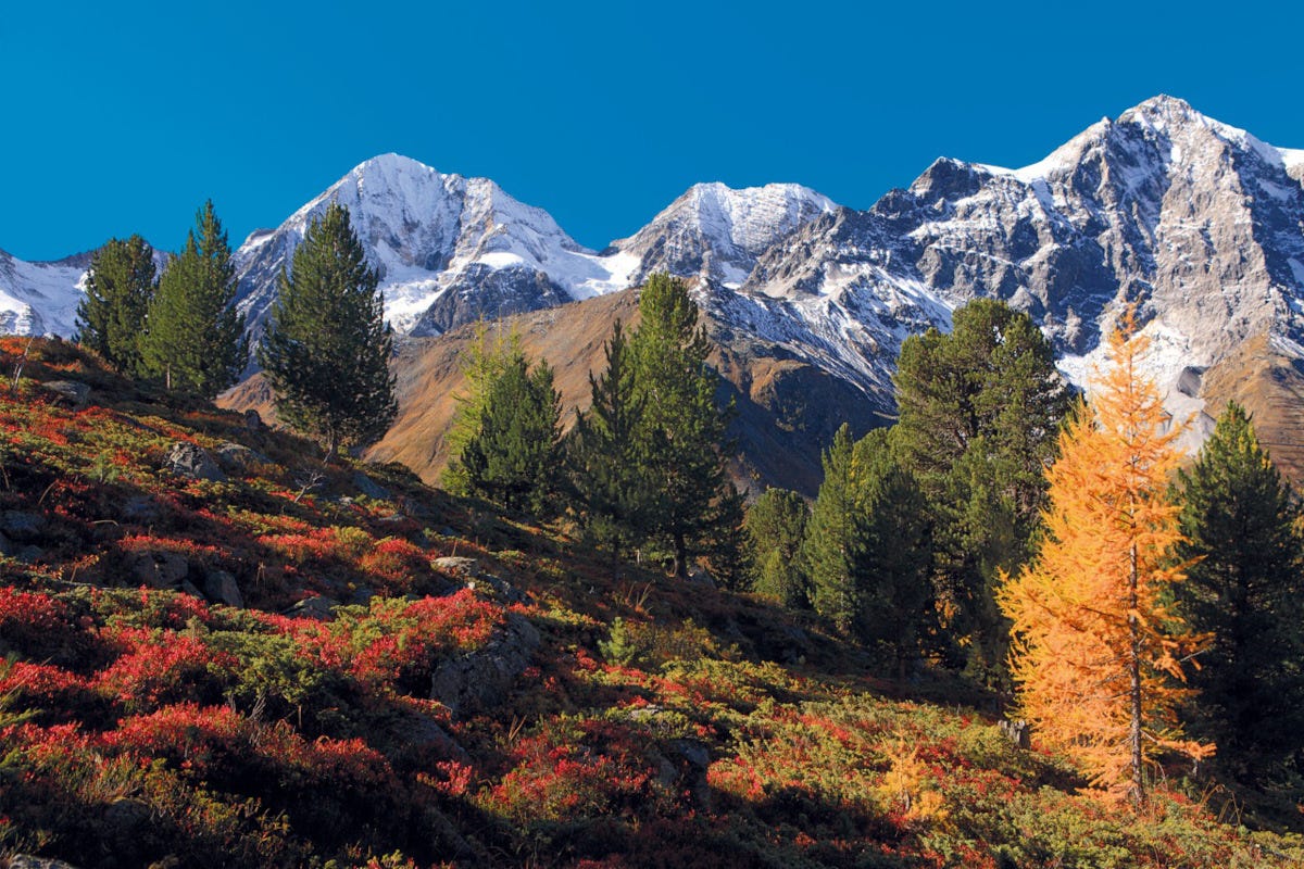 La magia della montagna in autunno I colori dell'autunno pronti ad illuminare il Parco nazionale dello Stelvio